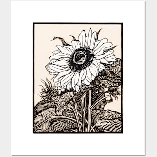 Sunflower Illustration Posters and Art